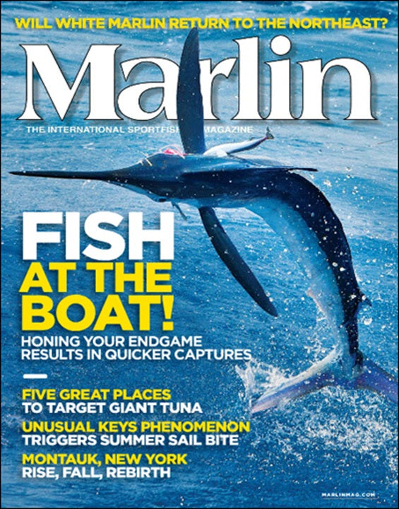 Marlin