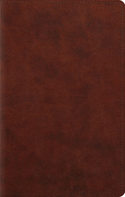 Large Print Personal Size Bible-ESV