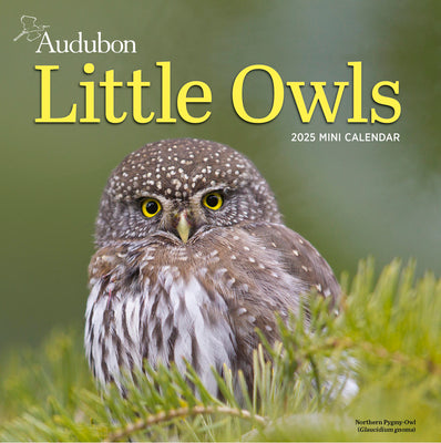 Audubon Little Owls 2025 Mini Wall Calendar