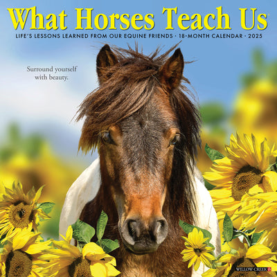 What Horses Teach Us Wall Calendar 2025