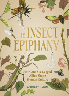 The Insect Epiphany: How Our Six-Legged Allies Shape Human Culture