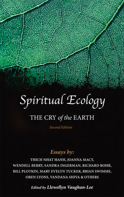 Spiritual Ecology: The Cry of the Earth