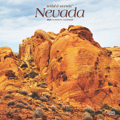 Nevada Wild & Scenic 2025