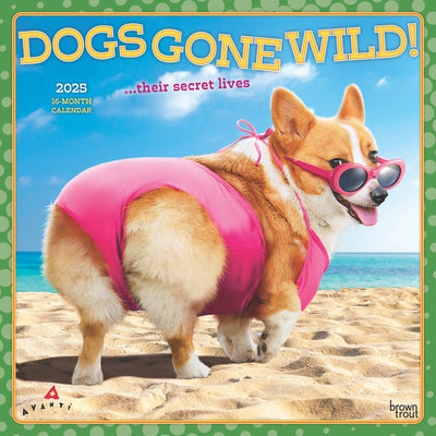 Avanti Dogs Gone Wild Official  Wall Calendar 2025