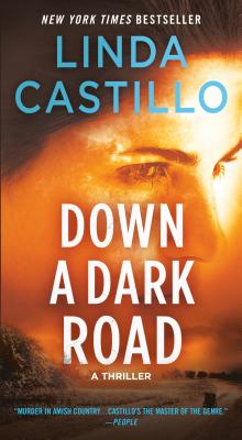 Down a Dark Road: A Kate Burkholder Novel